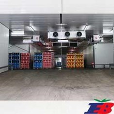 سردخانه-ثابت-زیر-صفر-الکتروبهمن-انجماد