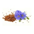 Flax