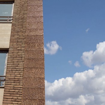 نسوز-رستیک-راندوم