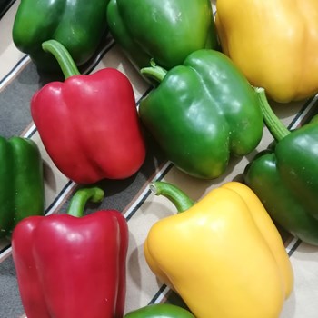 Bell-pepper