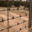 barbed-wire