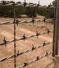 barbed-wire