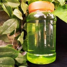 قیمت-ظرف-ترشی-پلاستیکی-فروش-انواع-ظروف-ترشی-پلاستیکی