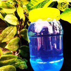 قیمت-ظرف-پلاستیکی-عسل-مرکز-فروش-آنلاین-ظروف-عسل