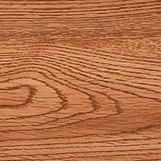 کفپوش-پلیژن