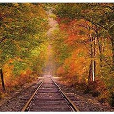 پوستر-دیواری-کومار