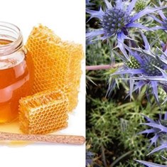 عسل-زول-گلسن