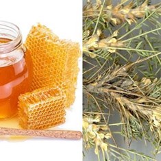 عسل-گون-گز-گلسن