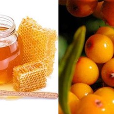 عسل-کنار-گلسن