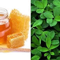 عسل-یونجه-گلسن