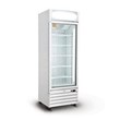 60-cm-single-door-standing-refrigerator