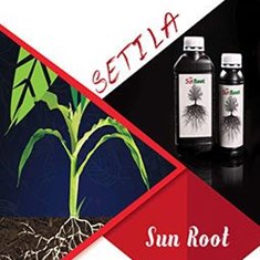 محلول-ریشه-زا-Sun-root