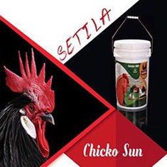 Chicko-Sun-کود-مایع-مرغی