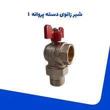 شیرزانوی-دسته-پروانه-1