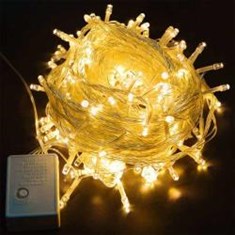 ریسه-سوزنی-آفتابی