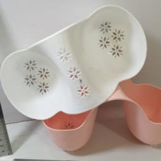 جاسکاجی-دوقلو-نازگل