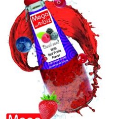 مگابیز-تخم-ریحان-میوه-قرمز-290مل-24ع