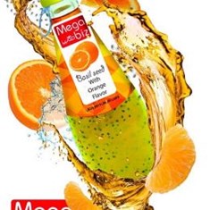 مگابیز-تخم-ریحان-پرتقال-290مل-24ع