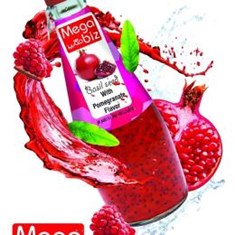 مگابیز-تخم-ریحان-انار-290مل-24ع