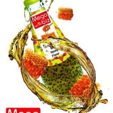 مگابیز-تخم-ریحان-عسل-290مل-24ع