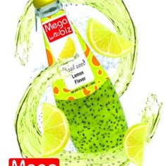 مگابیز-تخم-ریحان-لیمو-290مل-24ع