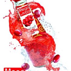 مگابیز-تخم-ریحان-زغال-اخته-290مل-24ع