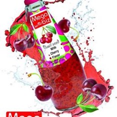 مگابیز-تخم-ریحان-آلبالو-290مل-24ع