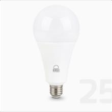 لامپ-LED-حبابی-25-وات