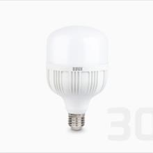 لامپ-LED-جاینت-30-وات-پایه-E27