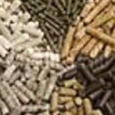 بذر-و-علوفه-دام-و-طیور