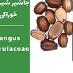 جاشیر-شیرین-خوراکی