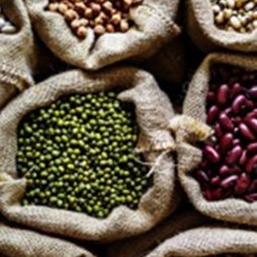 حبوبات-و-محصولات-کشاوزی