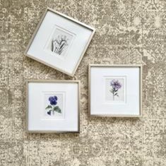 سری-گلها-کد-137-نقره-ای