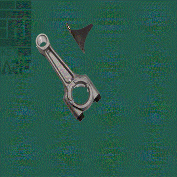 شاتون-روبین-EY-2050