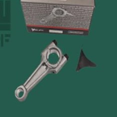 شاتون-روبین-EY-2050