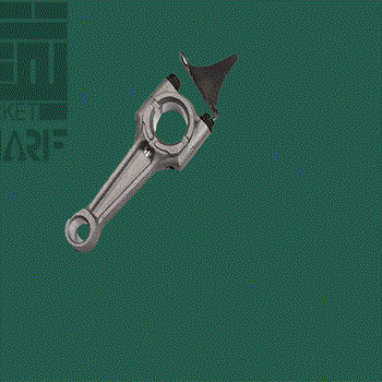 شاتون-روبین-EY-2050