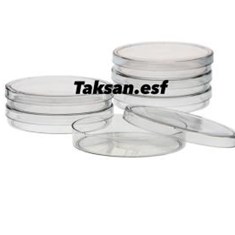 پتری-دیش-شیشه-ای