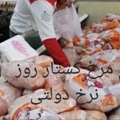 مرغ-کشتار-روز-نرخ-دولتی