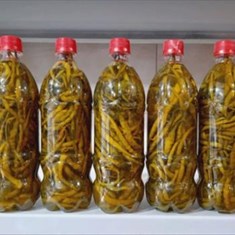 ترشی-فلفل-سوزنی-بطری-کوچیک