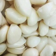 سیر-مروارید