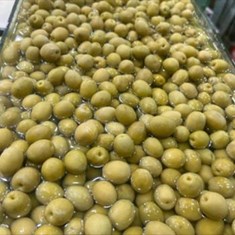 زیتون-درشت-هسته-دار