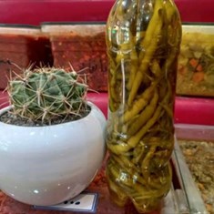 ترشی-فلفل-سوزنی-بطری-بزرگ