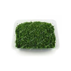 سبزی-کوکو-با-سیر-تازه