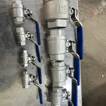 والو-گازیاینچیآلیاژ-304-و-316