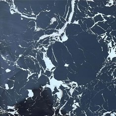 پاتریشا-پرسلان-6060