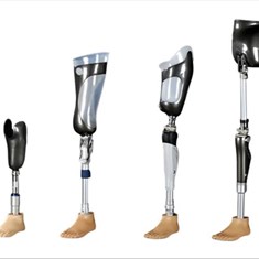 Prosthesis