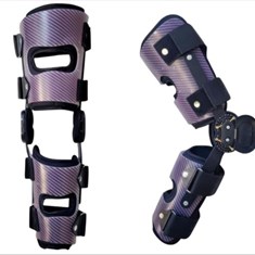 Prosthesis