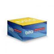 کیت-استاندارد-نصب-پکیج-شوفاژدیواری-بیتا