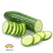 خیار-گلخانه-ای