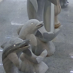 دلفین-های-سنگی